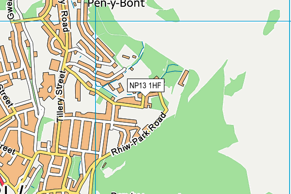 NP13 1HF map - OS VectorMap District (Ordnance Survey)
