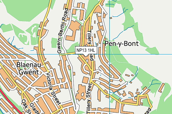 NP13 1HL map - OS VectorMap District (Ordnance Survey) NP13 1HL map - OS VectorMap District (Ordnance Survey)