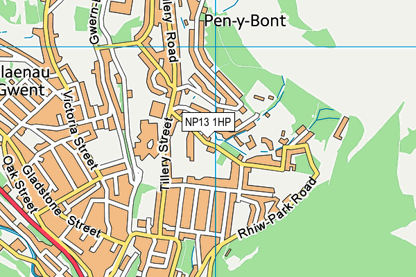 NP13 1HP map - OS VectorMap District (Ordnance Survey) NP13 1HP map - OS VectorMap District (Ordnance Survey)