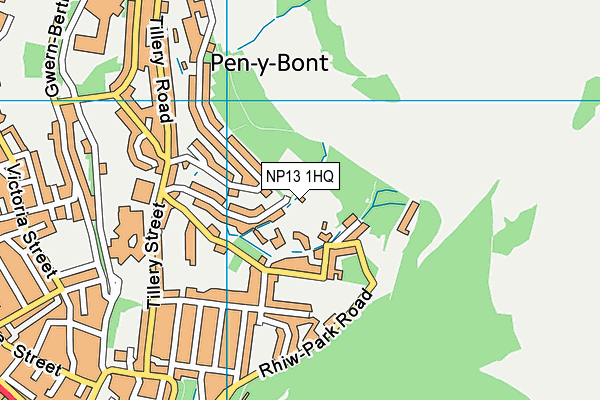 NP13 1HQ map - OS VectorMap District (Ordnance Survey) NP13 1HQ map - OS VectorMap District (Ordnance Survey)