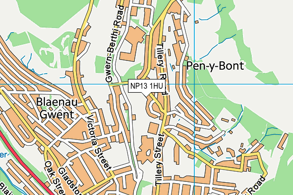 NP13 1HU map - OS VectorMap District (Ordnance Survey) NP13 1HU map - OS VectorMap District (Ordnance Survey)