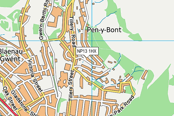 NP13 1HX map - OS VectorMap District (Ordnance Survey) NP13 1HX map - OS VectorMap District (Ordnance Survey)