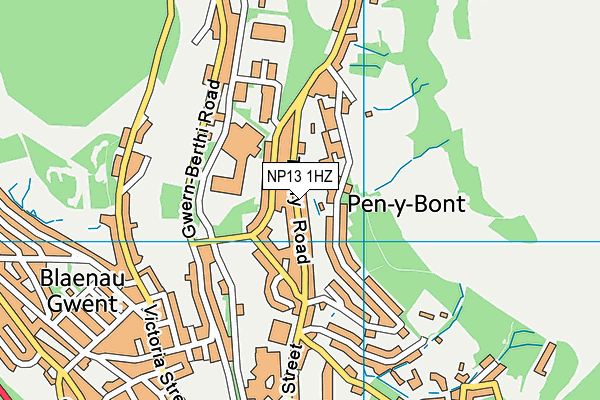 NP13 1HZ map - OS VectorMap District (Ordnance Survey) NP13 1HZ map - OS VectorMap District (Ordnance Survey)