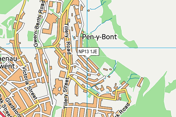 NP13 1JE map - OS VectorMap District (Ordnance Survey) NP13 1JE map - OS VectorMap District (Ordnance Survey)