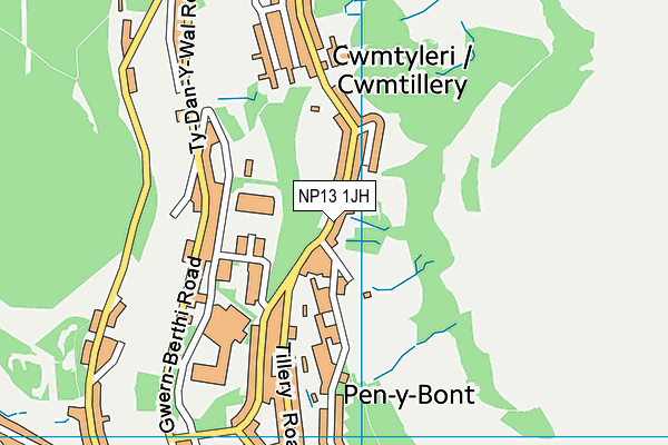 NP13 1JH map - OS VectorMap District (Ordnance Survey)