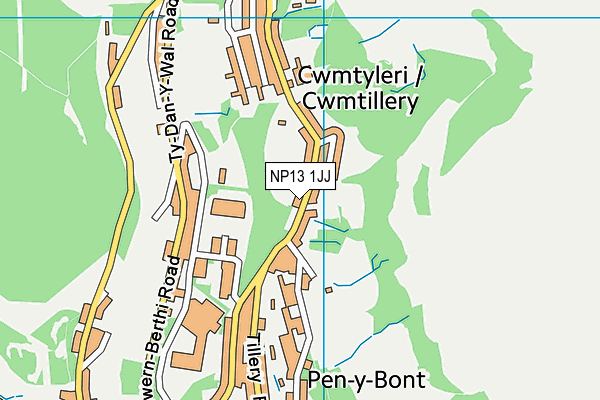 NP13 1JJ map - OS VectorMap District (Ordnance Survey) NP13 1JJ map - OS VectorMap District (Ordnance Survey)
