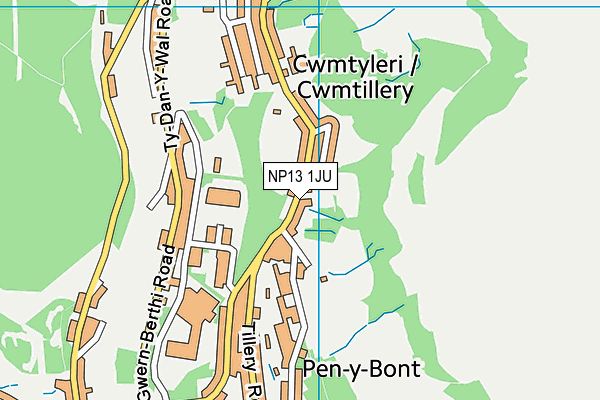NP13 1JU map - OS VectorMap District (Ordnance Survey) NP13 1JU map - OS VectorMap District (Ordnance Survey)