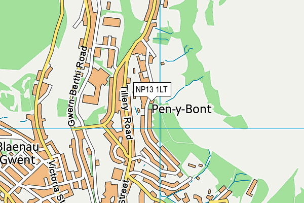 NP13 1LT map - OS VectorMap District (Ordnance Survey) NP13 1LT map - OS VectorMap District (Ordnance Survey)