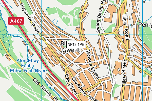 NP13 1PE map - OS VectorMap District (Ordnance Survey) NP13 1PE map - OS VectorMap District (Ordnance Survey)