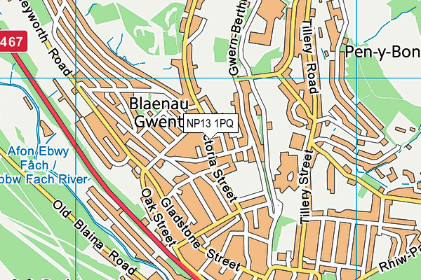 NP13 1PQ map - OS VectorMap District (Ordnance Survey) NP13 1PQ map - OS VectorMap District (Ordnance Survey)
