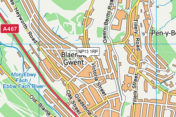 NP13 1RP map - OS VectorMap District (Ordnance Survey) NP13 1RP map - OS VectorMap District (Ordnance Survey)