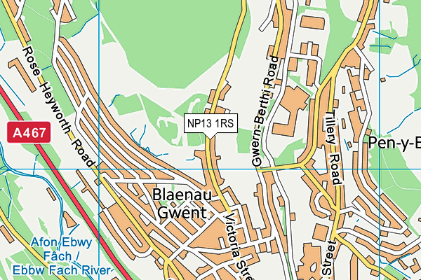 NP13 1RS map - OS VectorMap District (Ordnance Survey)