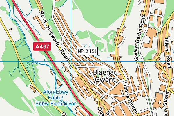 NP13 1SJ map - OS VectorMap District (Ordnance Survey) NP13 1SJ map - OS VectorMap District (Ordnance Survey)