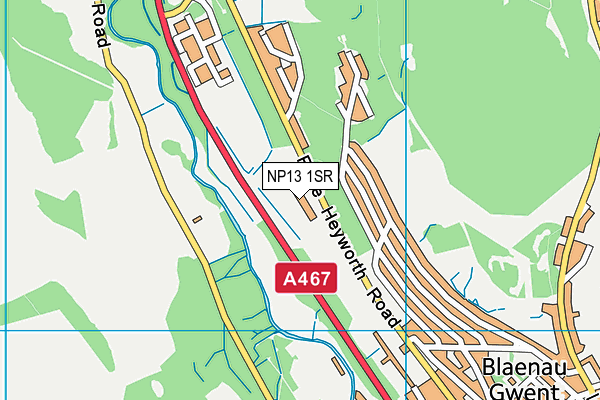 NP13 1SR map - OS VectorMap District (Ordnance Survey) NP13 1SR map - OS VectorMap District (Ordnance Survey)