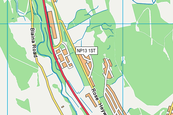 NP13 1ST map - OS VectorMap District (Ordnance Survey) NP13 1ST map - OS VectorMap District (Ordnance Survey)