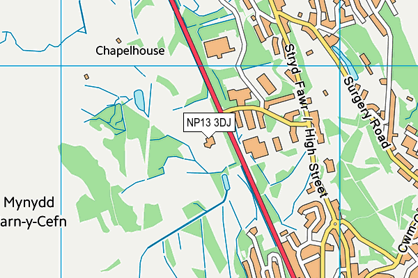 NP13 3DJ map - OS VectorMap District (Ordnance Survey) NP13 3DJ map - OS VectorMap District (Ordnance Survey)