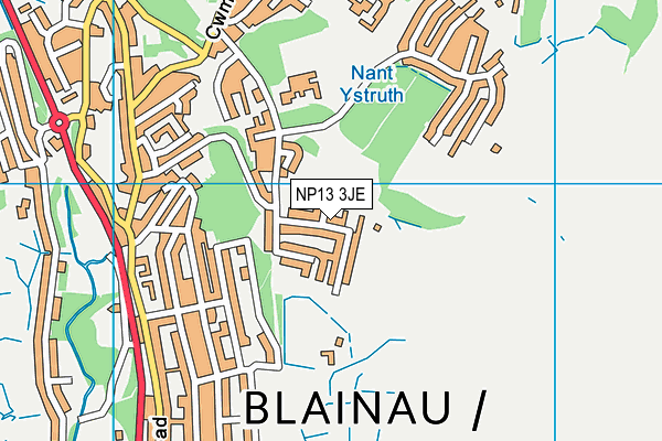 NP13 3JE map - OS VectorMap District (Ordnance Survey) NP13 3JE map - OS VectorMap District (Ordnance Survey)