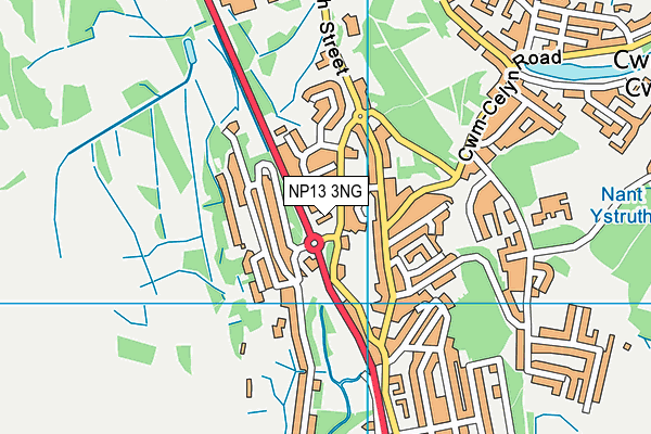 NP13 3NG map - OS VectorMap District (Ordnance Survey) NP13 3NG map - OS VectorMap District (Ordnance Survey)