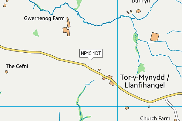 NP15 1DT map - OS VectorMap District (Ordnance Survey)