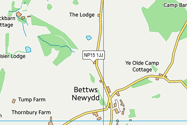 NP15 1JJ map - OS VectorMap District (Ordnance Survey) NP15 1JJ map - OS VectorMap District (Ordnance Survey)
