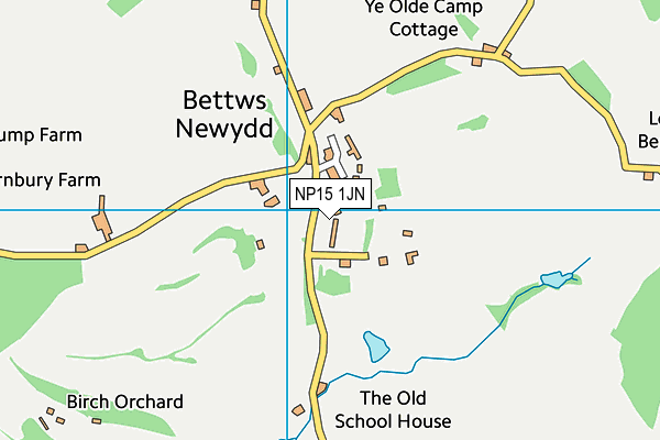 NP15 1JN map - OS VectorMap District (Ordnance Survey) NP15 1JN map - OS VectorMap District (Ordnance Survey)