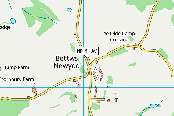 NP15 1JW map - OS VectorMap District (Ordnance Survey)