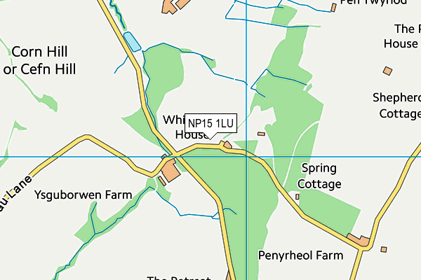 NP15 1LU map - OS VectorMap District (Ordnance Survey)