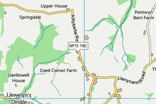 NP15 1NE map - OS VectorMap District (Ordnance Survey)