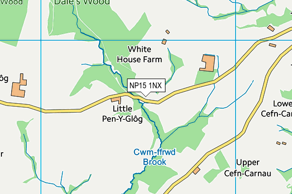 NP15 1NX map - OS VectorMap District (Ordnance Survey)