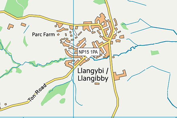NP15 1PA map - OS VectorMap District (Ordnance Survey) NP15 1PA map - OS VectorMap District (Ordnance Survey)