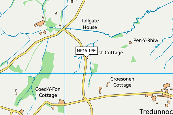 NP15 1PE map - OS VectorMap District (Ordnance Survey) NP15 1PE map - OS VectorMap District (Ordnance Survey)