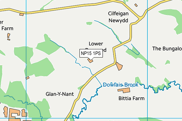 NP15 1PS map - OS VectorMap District (Ordnance Survey)