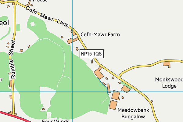 NP15 1QS map - OS VectorMap District (Ordnance Survey) NP15 1QS map - OS VectorMap District (Ordnance Survey)