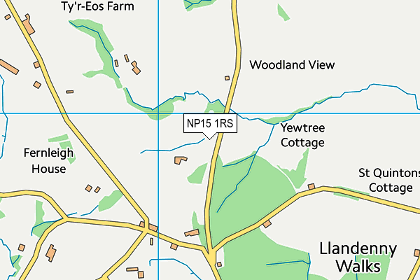 NP15 1RS map - OS VectorMap District (Ordnance Survey) NP15 1RS map - OS VectorMap District (Ordnance Survey)