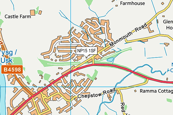 NP15 1SF map - OS VectorMap District (Ordnance Survey)