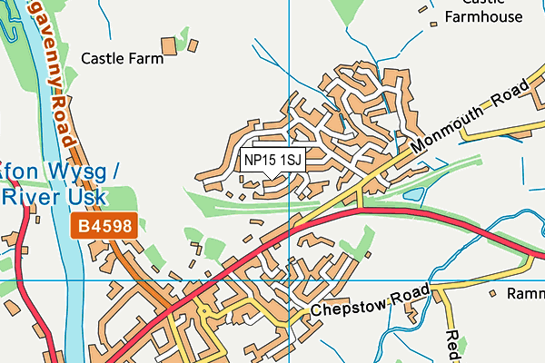 NP15 1SJ map - OS VectorMap District (Ordnance Survey) NP15 1SJ map - OS VectorMap District (Ordnance Survey)