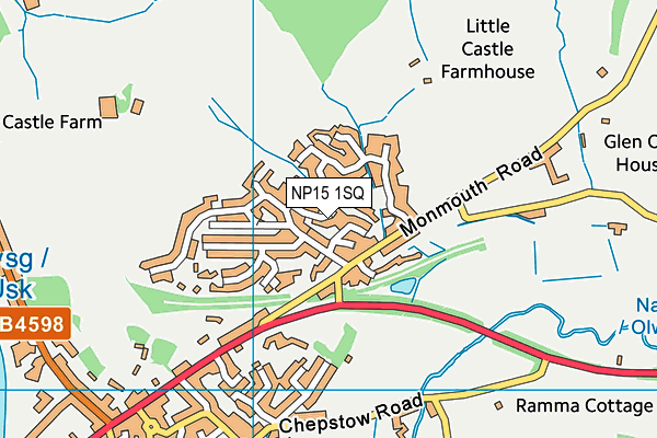 NP15 1SQ map - OS VectorMap District (Ordnance Survey) NP15 1SQ map - OS VectorMap District (Ordnance Survey)