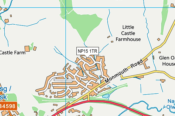 NP15 1TR map - OS VectorMap District (Ordnance Survey) NP15 1TR map - OS VectorMap District (Ordnance Survey)