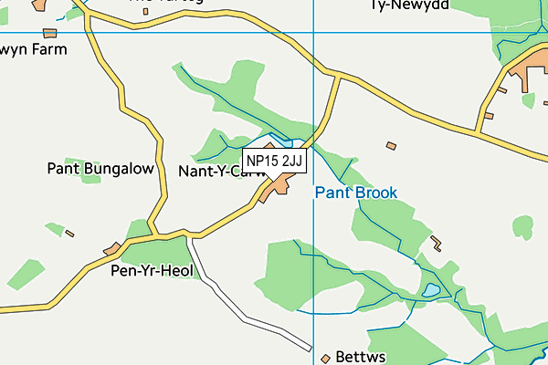 NP15 2JJ map - OS VectorMap District (Ordnance Survey) NP15 2JJ map - OS VectorMap District (Ordnance Survey)
