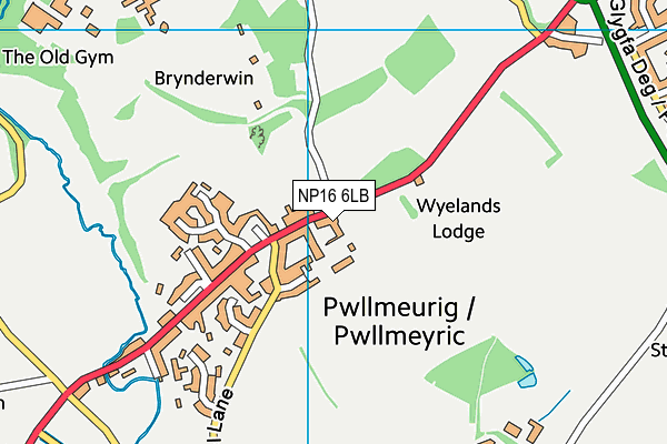 NP16 6LB map - OS VectorMap District (Ordnance Survey) NP16 6LB map - OS VectorMap District (Ordnance Survey)