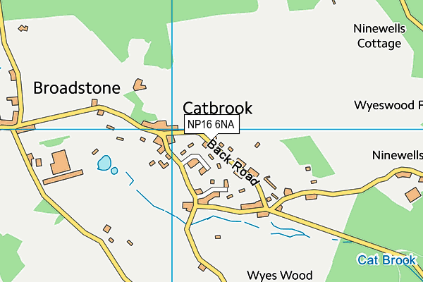 NP16 6NA map - OS VectorMap District (Ordnance Survey) NP16 6NA map - OS VectorMap District (Ordnance Survey)