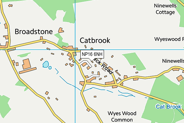 NP16 6NH map - OS VectorMap District (Ordnance Survey) NP16 6NH map - OS VectorMap District (Ordnance Survey)
