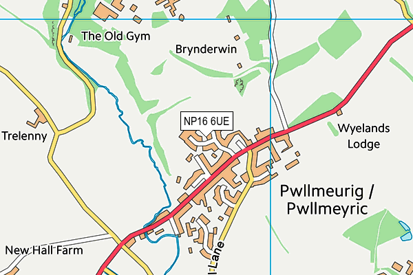 NP16 6UE map - OS VectorMap District (Ordnance Survey) NP16 6UE map - OS VectorMap District (Ordnance Survey)