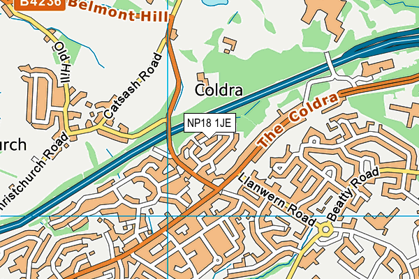 NP18 1JE map - OS VectorMap District (Ordnance Survey)