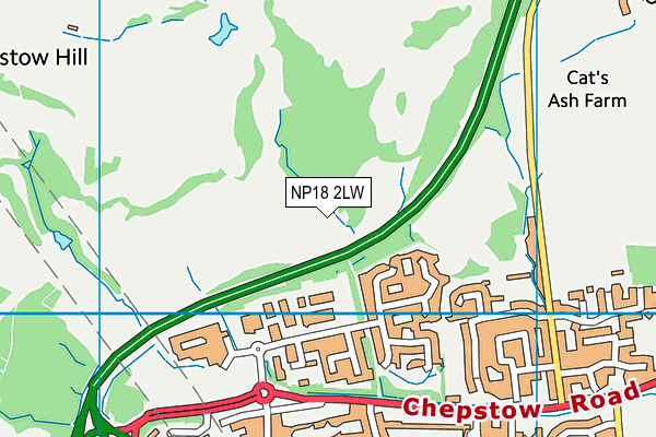 NP18 2LW map - OS VectorMap District (Ordnance Survey) NP18 2LW map - OS VectorMap District (Ordnance Survey)