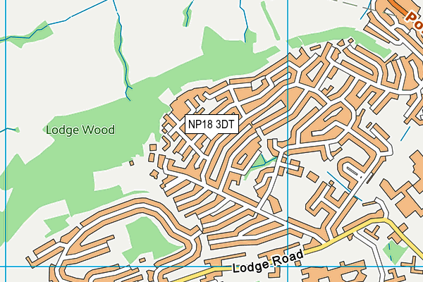 NP18 3DT map - OS VectorMap District (Ordnance Survey) NP18 3DT map - OS VectorMap District (Ordnance Survey)