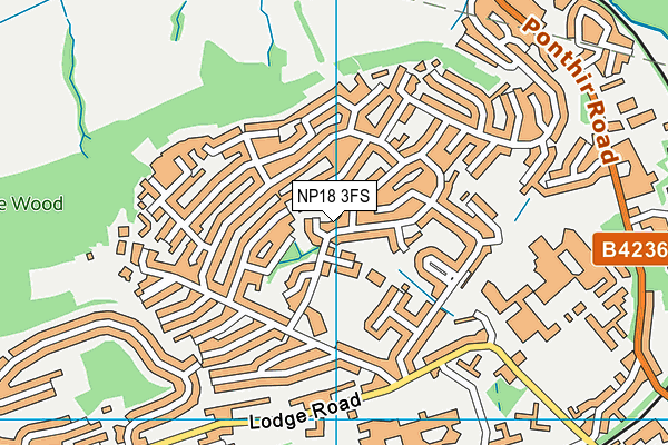 NP18 3FS map - OS VectorMap District (Ordnance Survey) NP18 3FS map - OS VectorMap District (Ordnance Survey)