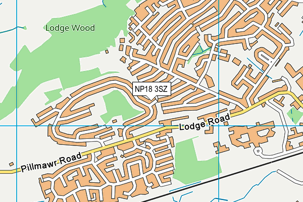 NP18 3SZ map - OS VectorMap District (Ordnance Survey) NP18 3SZ map - OS VectorMap District (Ordnance Survey)