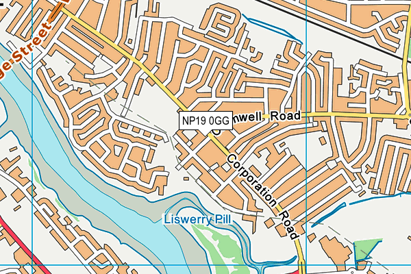 NP19 0GG map - OS VectorMap District (Ordnance Survey) NP19 0GG map - OS VectorMap District (Ordnance Survey)