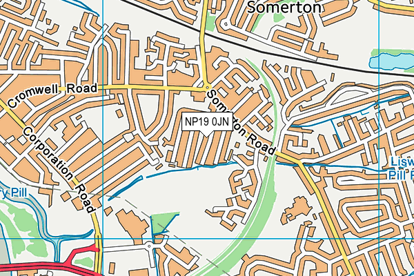 NP19 0JN map - OS VectorMap District (Ordnance Survey)